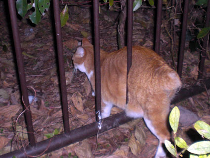 20091231park01.jpg