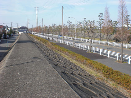 20100103ura04.JPG