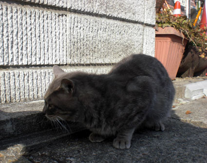 20100103ura06.JPG