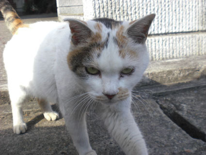 20100103ura07.JPG