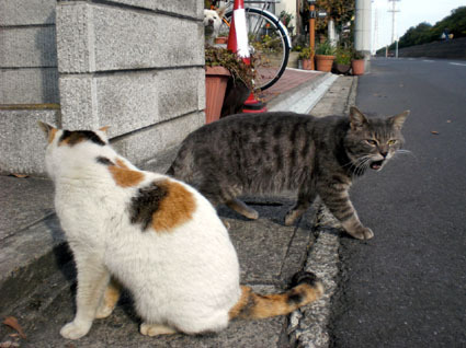 20100103ura08.JPG