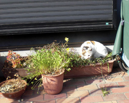 20100103ura10.JPG