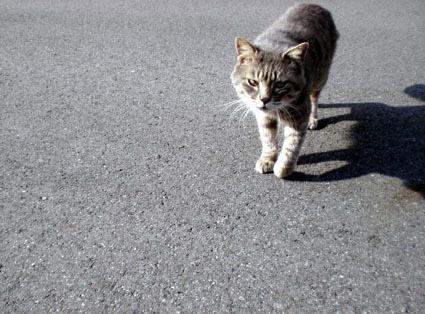 20100103ura11.JPG