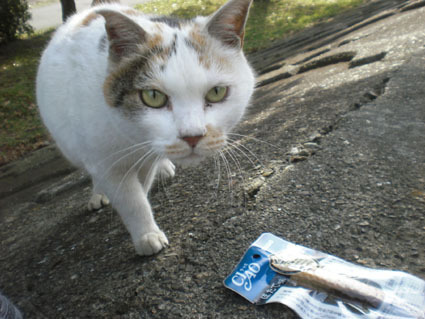 20100103ura12.JPG