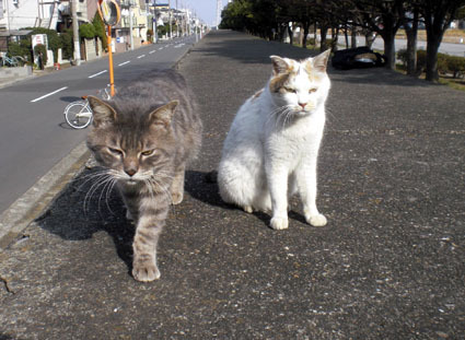 20100103ura13.JPG