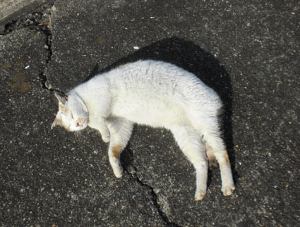 20100103ura14.JPG