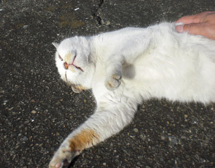 20100103ura17.JPG