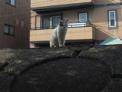 20100103ura18.JPG