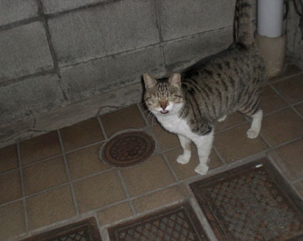 20100124soto01.JPG