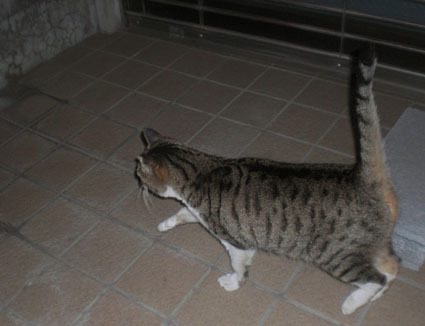 20100124soto04.JPG