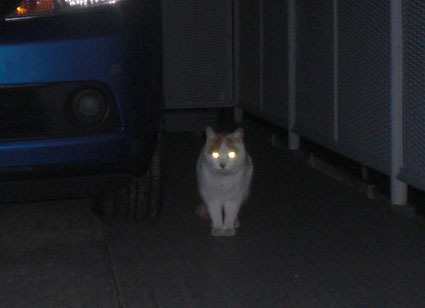 20100124soto05.JPG