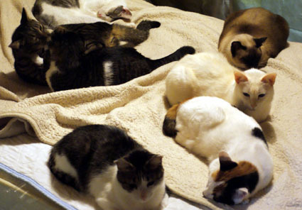 20100126home01.JPG