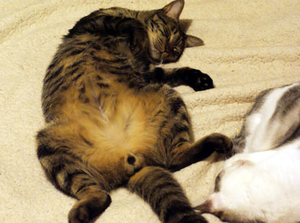 20100126home02.JPG