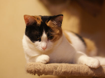 20100126home03.JPG