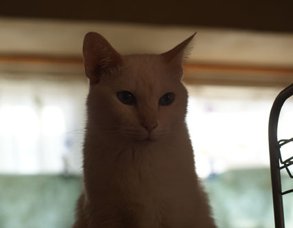 20100126home05.JPG