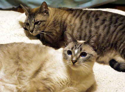 20100126home08.JPG