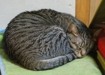 20100126home09.JPG