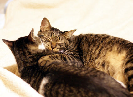 20100126home11.JPG