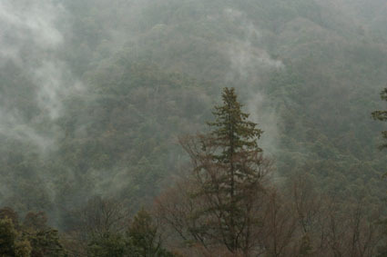 20100201hakone03.JPG