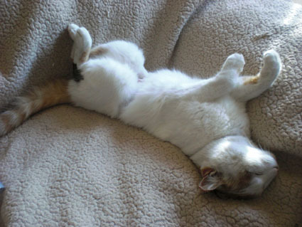 20100206home10.JPG