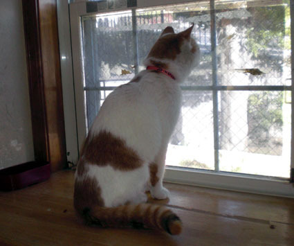 20100206home11.JPG