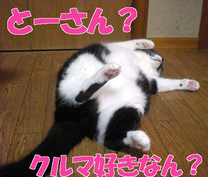 20100214suzu01.JPG