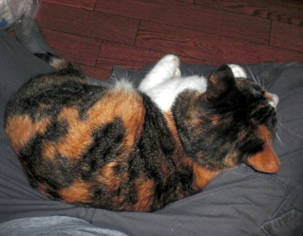 20100221home04.JPG