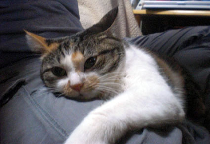 20100221home05.JPG