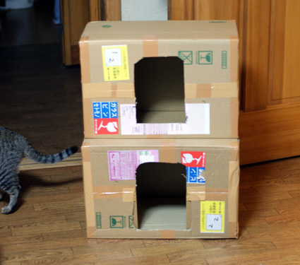 20100320home01.JPG