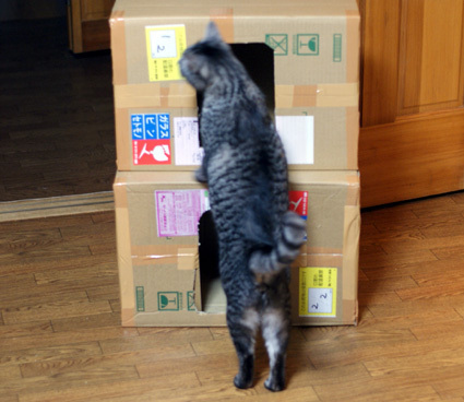 20100320home02.JPG