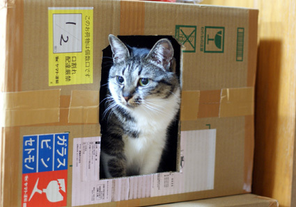 20100320home03.JPG