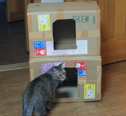 20100320home04.JPG