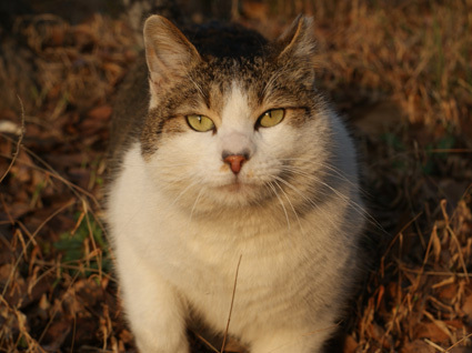 20100328park04.JPG