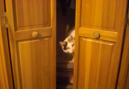 20100329home02.JPG
