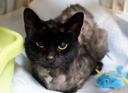 20100329home02.JPG