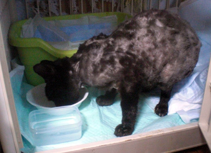 20100329home03.JPG