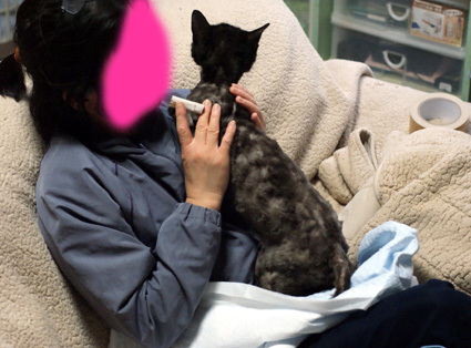 20100329home06.JPG