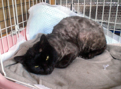 20100412home04.JPG