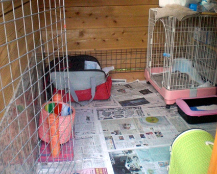 20100412home06.JPG