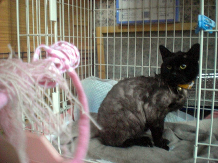20100412home07.JPG