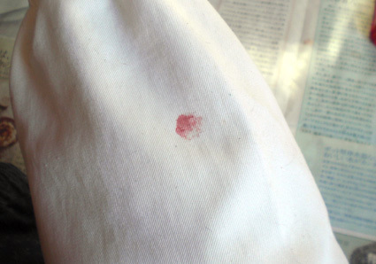 20100417home02.JPG