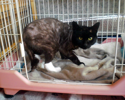 20100417home04.JPG