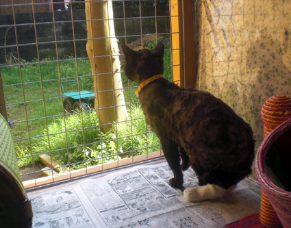 20100417home05.JPG