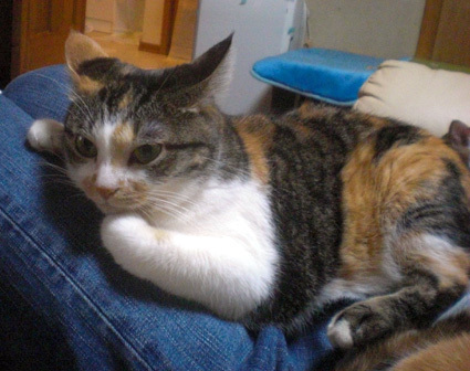 20100418home02.JPG