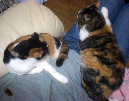 20100418home03.JPG