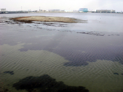 20100418ura01.JPG