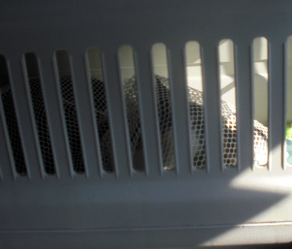 20100425home01.JPG