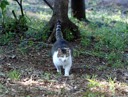 20100425park03.JPG