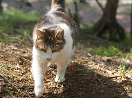 20100425park04.JPG