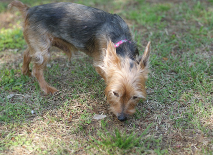 20100425park07.JPG